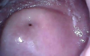 cam in mouth vagina increased by bore